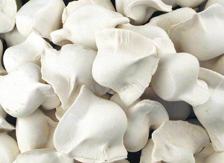 為什么選擇低溫速凍冷庫貯藏水餃、湯圓