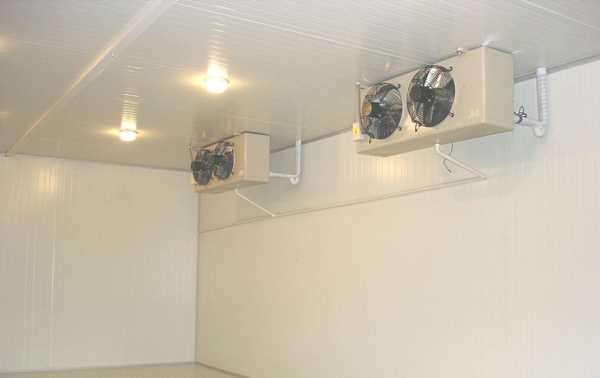 冷庫是否可以起到殺菌消毒的作用？