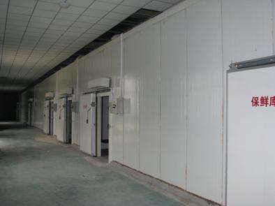 氣調(diào)庫(kù)相比較保鮮庫(kù)而言的話都有哪些特點(diǎn)？