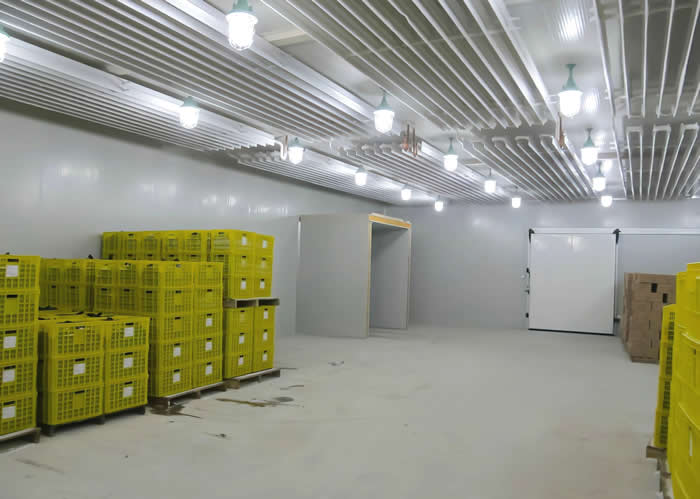 低溫冷庫溫度多少合適？是否越低越好