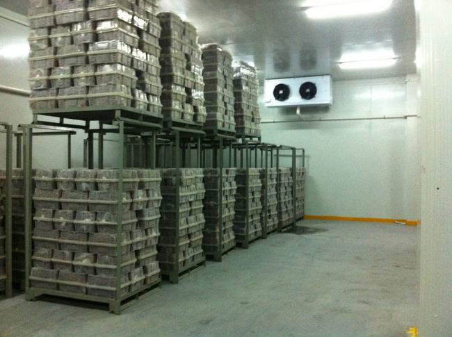 冷庫(kù)裝什么燈合適？冷庫(kù)燈和普通燈有有什么區(qū)別