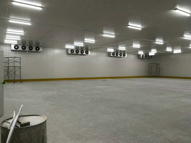 建造100平方冷凍庫需要多少錢？